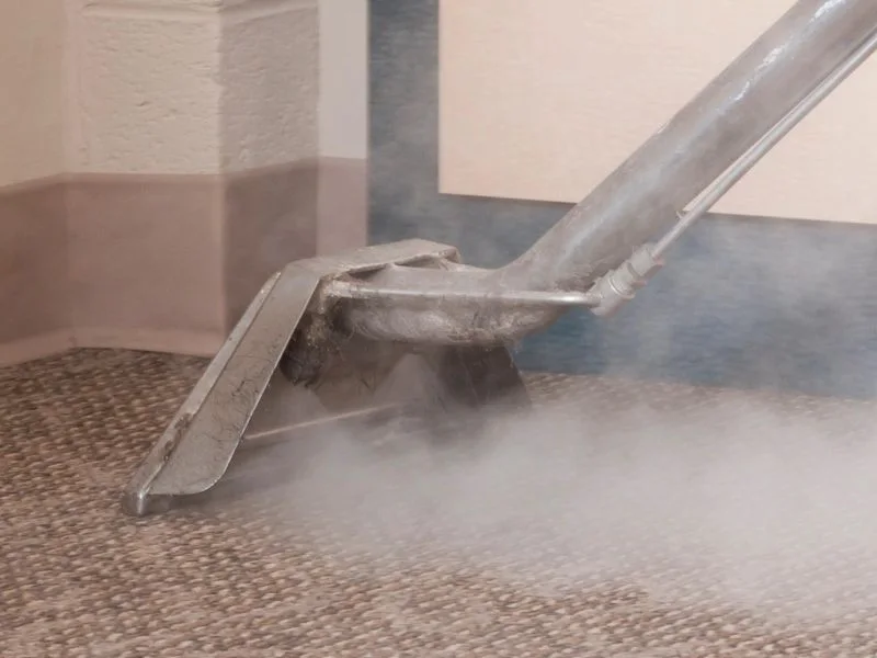 Carpet shampooing